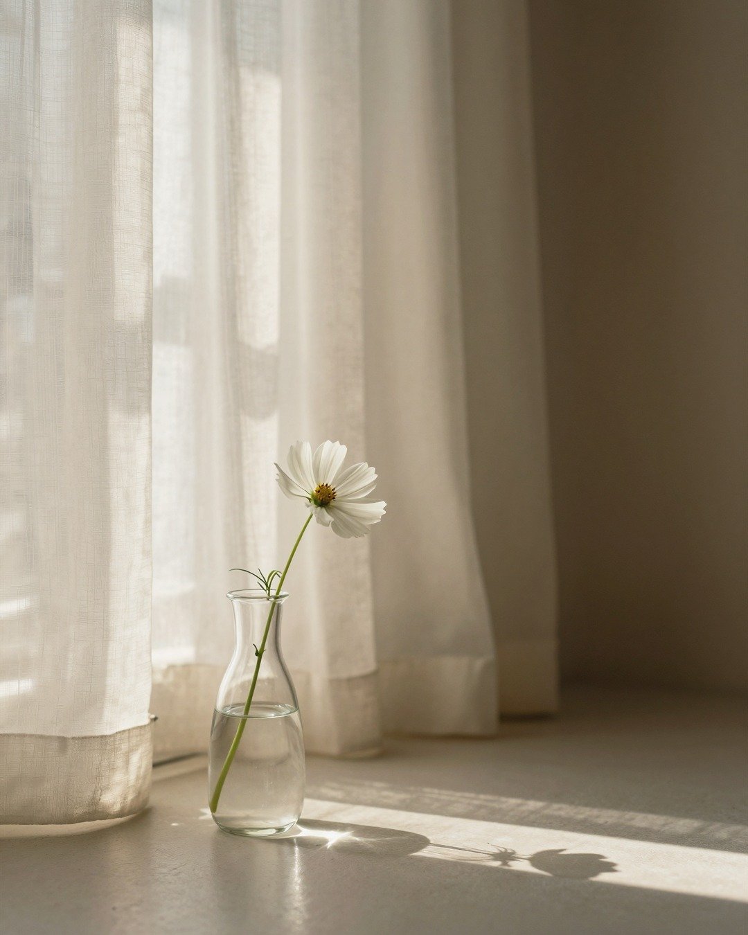 A single flower in a clear glass vase beside the window